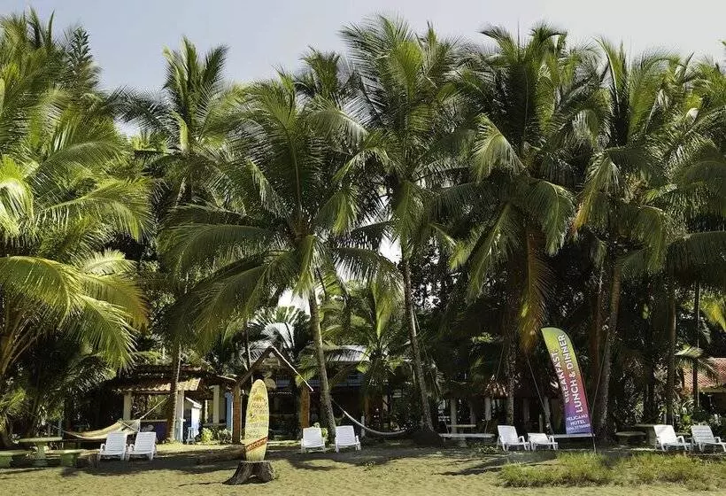 Hotelli Pelican Beachfront