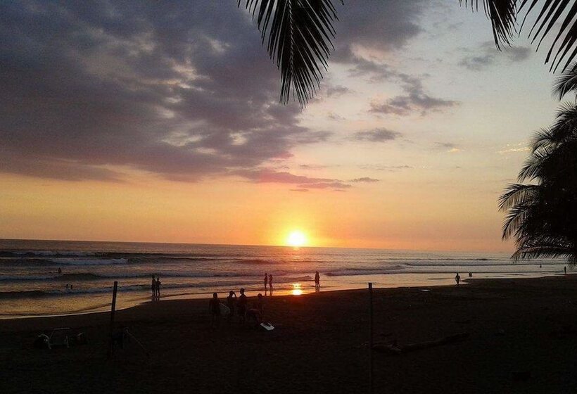 فندق Pelican Beachfront