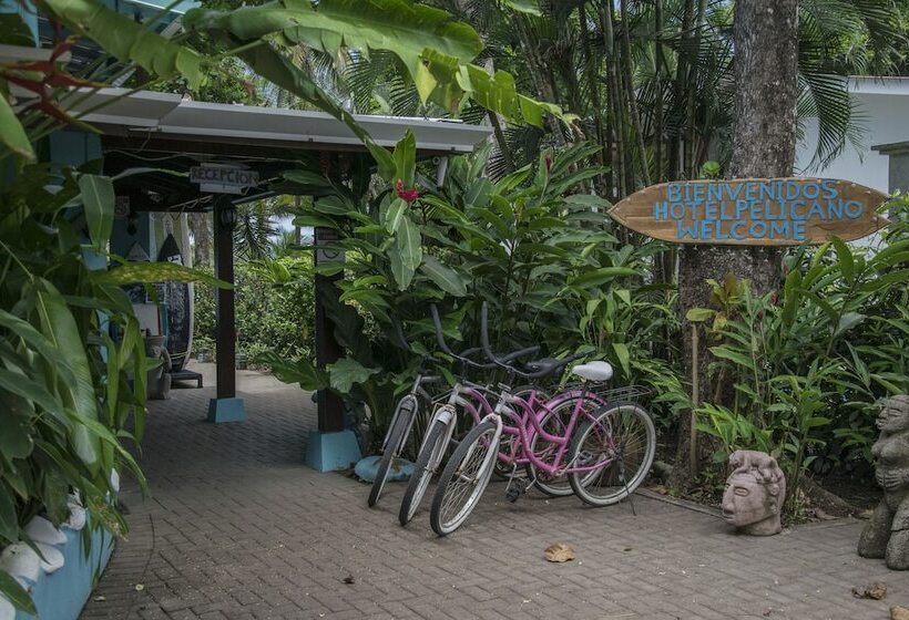 فندق Pelican Beachfront