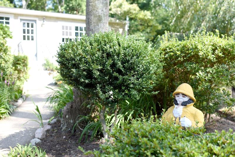 Отель Sandwich Inn And Suites