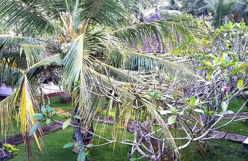 هتل Wahyu Dewata