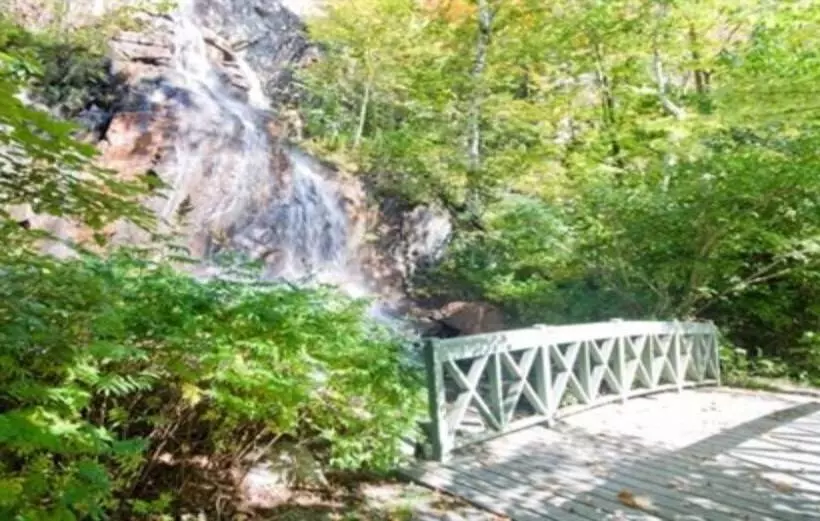 Le Plateau – Rvmt