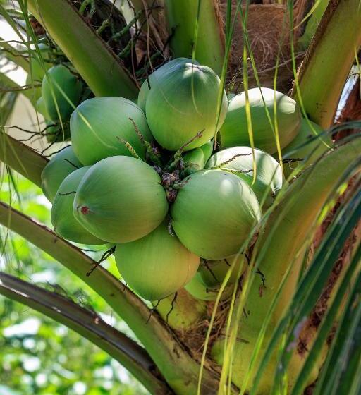 Mekong Riverside Boutique Resort & Spa