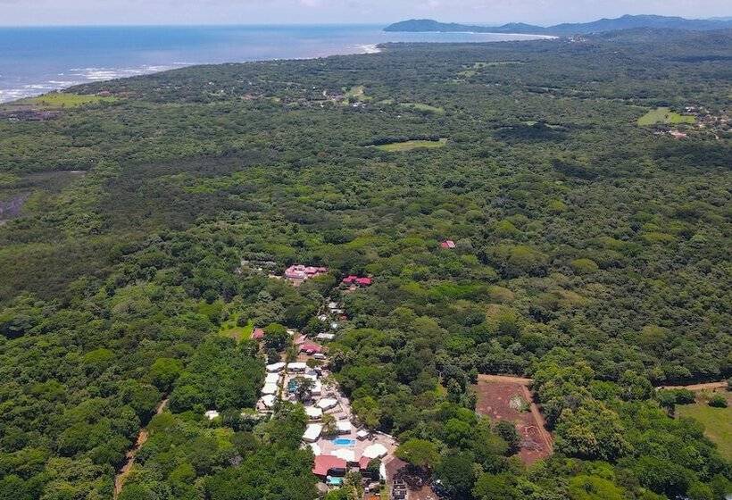 リゾートホテル Las Avellanas Villas