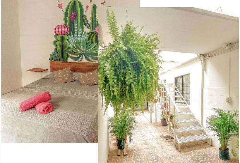 בית מלון כפרי Hostel Casa Maguey