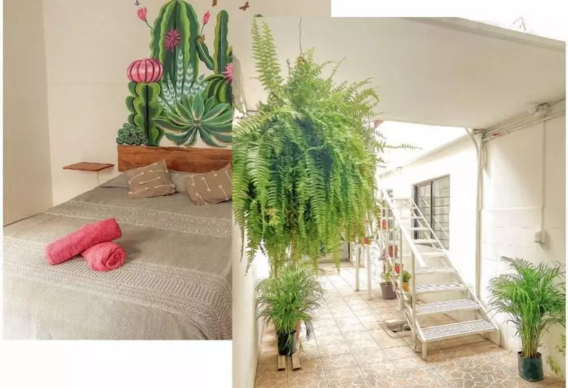 هتل Hostel Casa Maguey