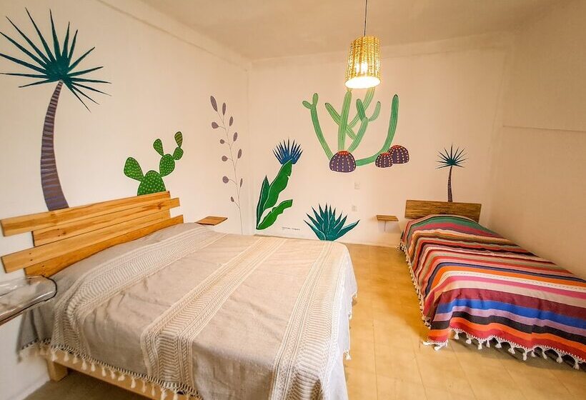 בית מלון כפרי Hostel Casa Maguey