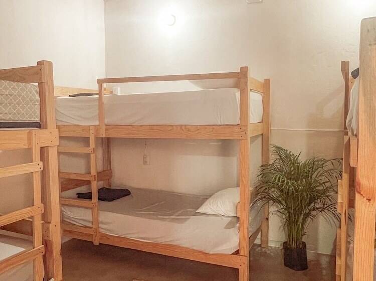 בית מלון כפרי Hostel Casa Maguey