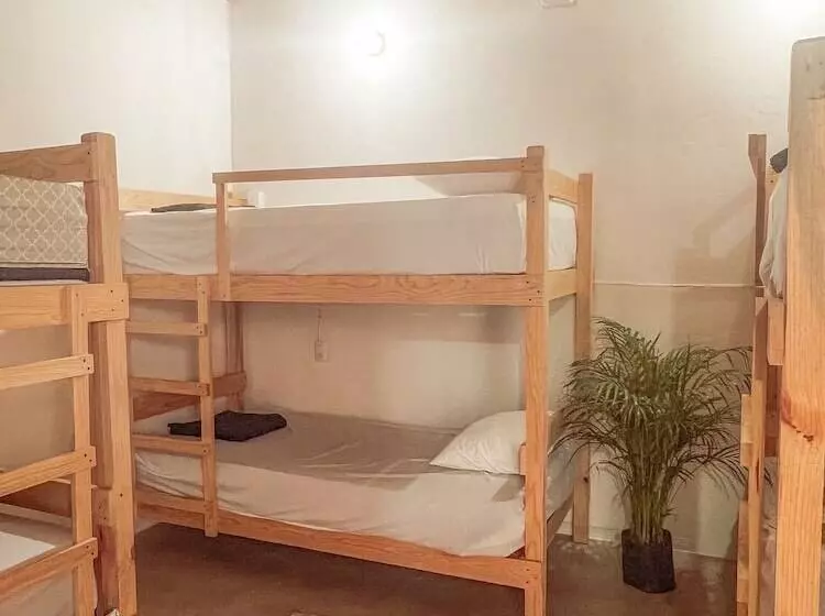 هتل Hostel Casa Maguey