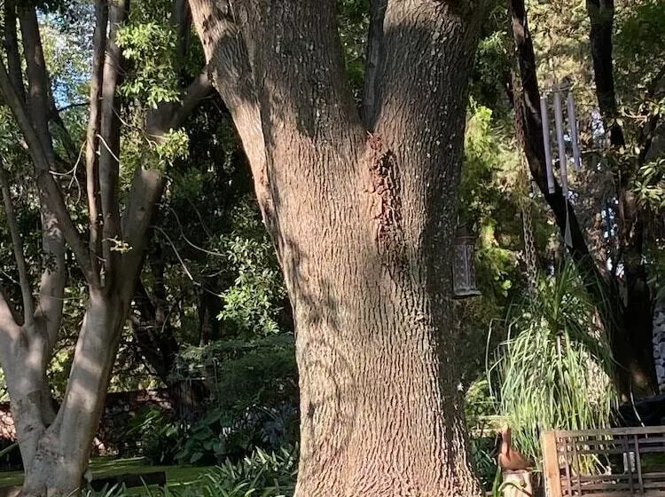 Hotelli Magnolias Jardin & Boutique Suites