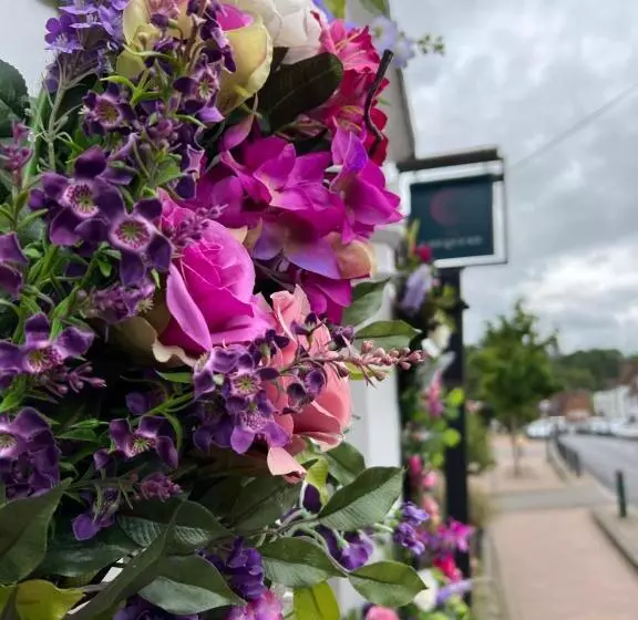 Hotelli The Chequers