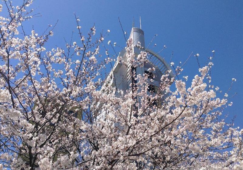 هتل Abant Shizuoka