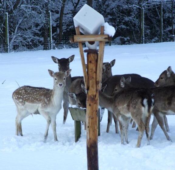 בית מלון כפרי Forsthaus