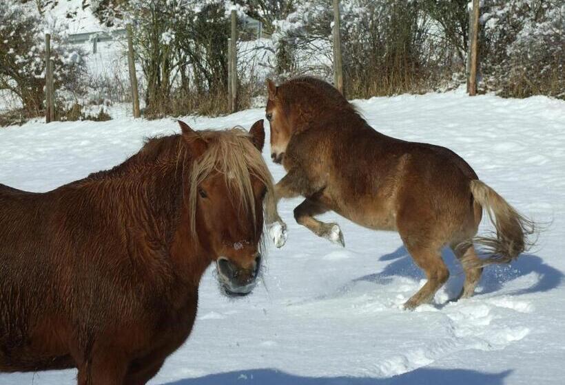 בית מלון כפרי Forsthaus
