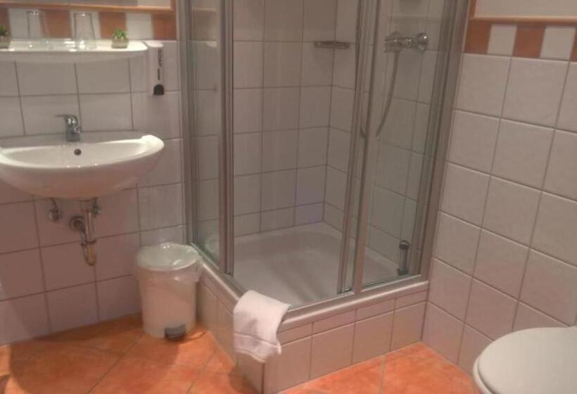 Отель Mettner Hof