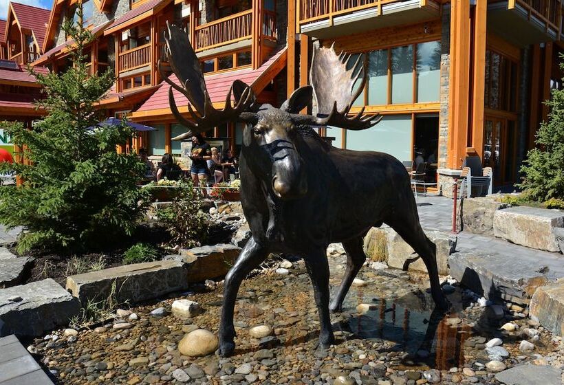 Moose Hotel And Suites
