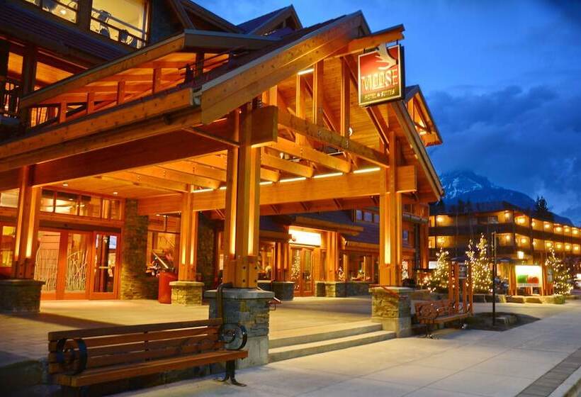 Moose Hotel And Suites