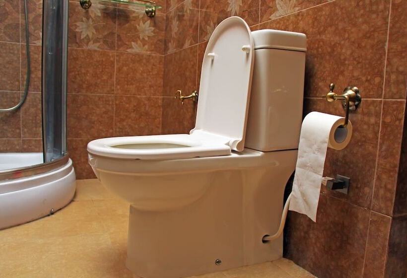 膳宿费 Lovely Villa Negombo