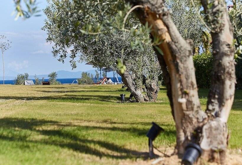 Flamingo View Suites