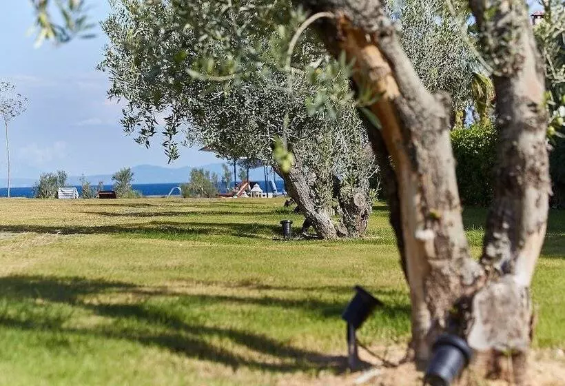 Flamingo View Suites