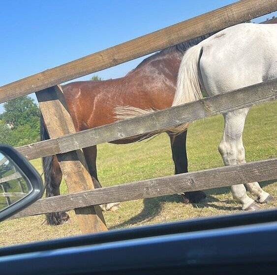 فندق The Lodge Oldham