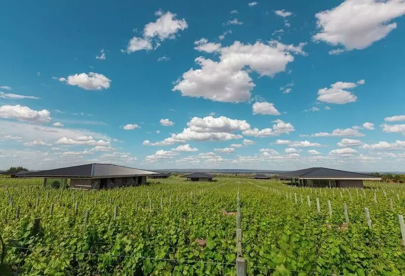 Hotelli Villas Del Malbec Lodge