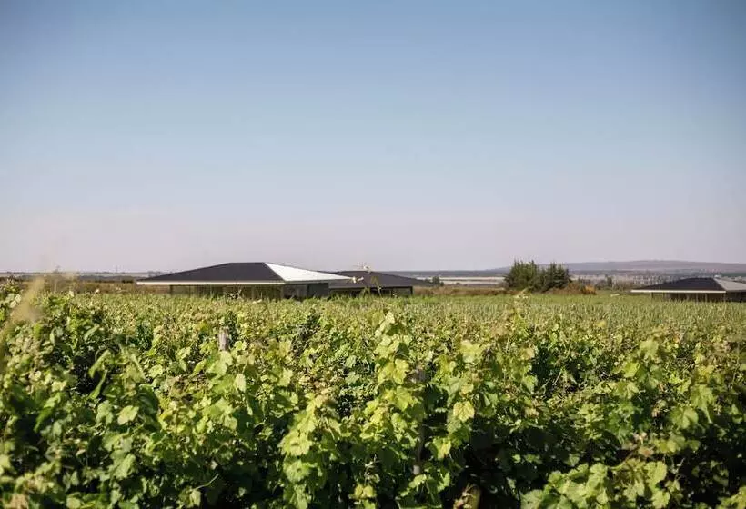 Hotelli Villas Del Malbec Lodge