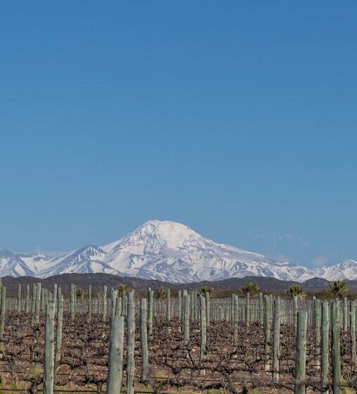 Hotel Villas Del Malbec Lodge