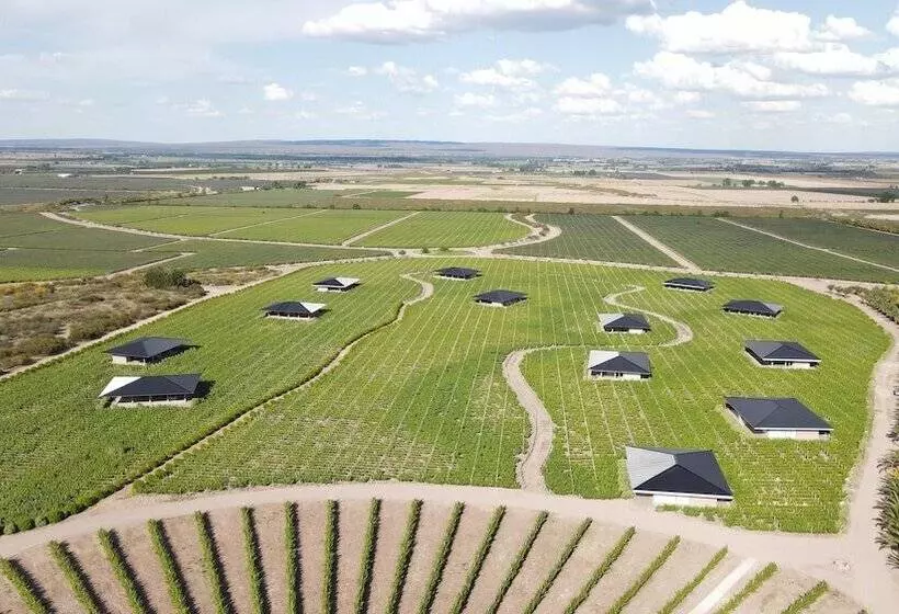 Hotelli Villas Del Malbec Lodge