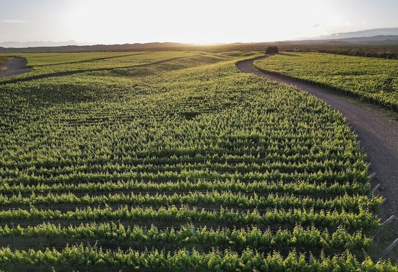 Hotel Villas Del Malbec Lodge