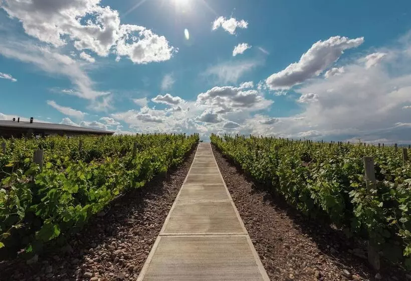 Hotelli Villas Del Malbec Lodge