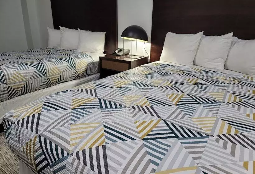 مُتل Banfield Studios