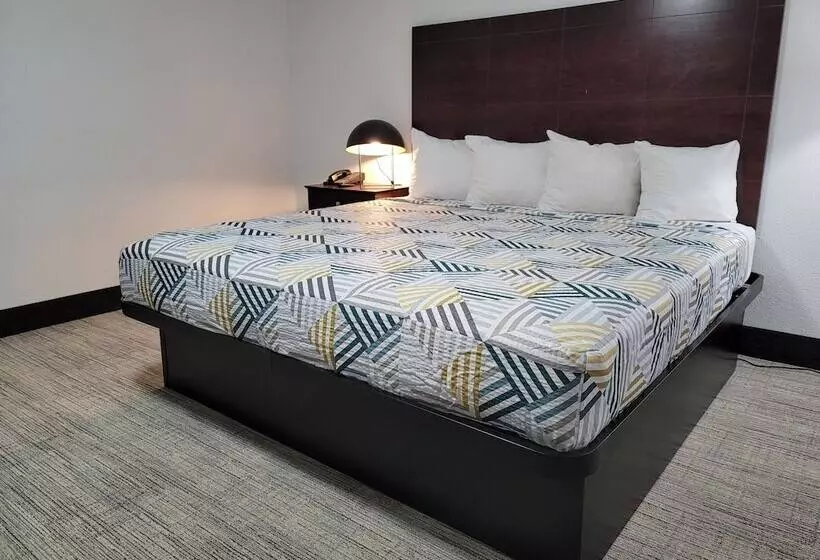 مُتل Banfield Studios