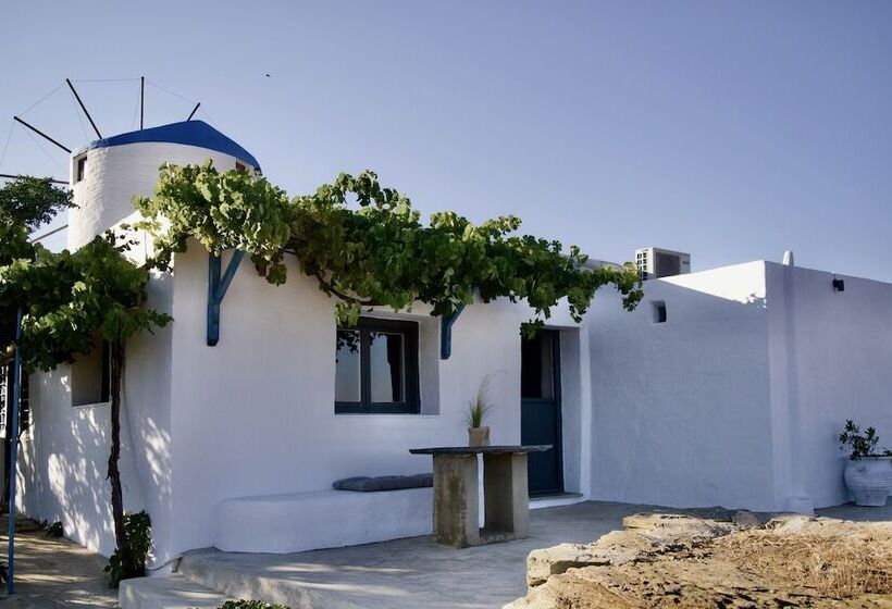 بنسيون Sifnos Roots