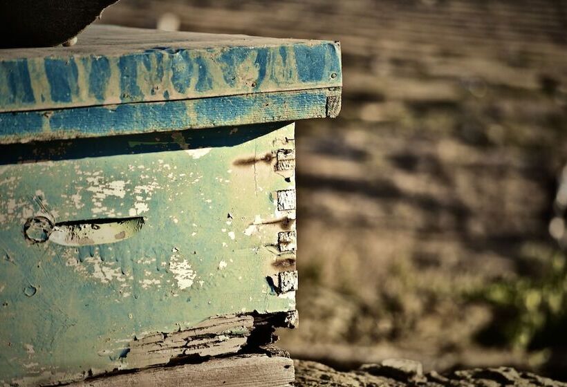 بنسيون Sifnos Roots
