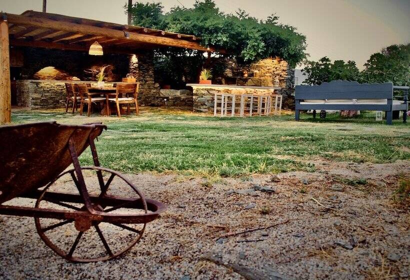 بنسيون Sifnos Roots