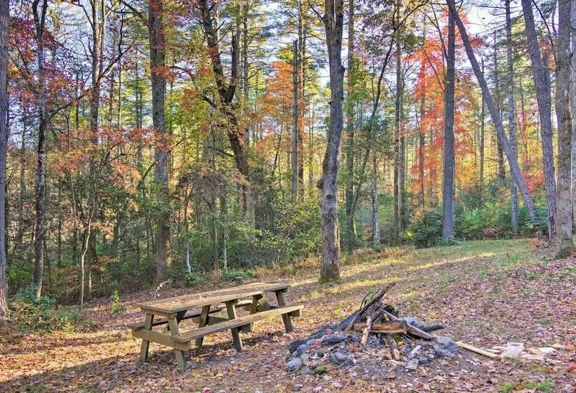Cedar Mountain Log Cabin: 4 Mi Dupont State Forest