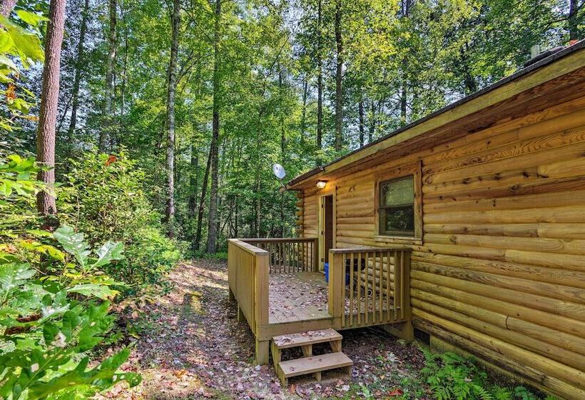 Cedar Mountain Log Cabin: 4 Mi Dupont State Forest