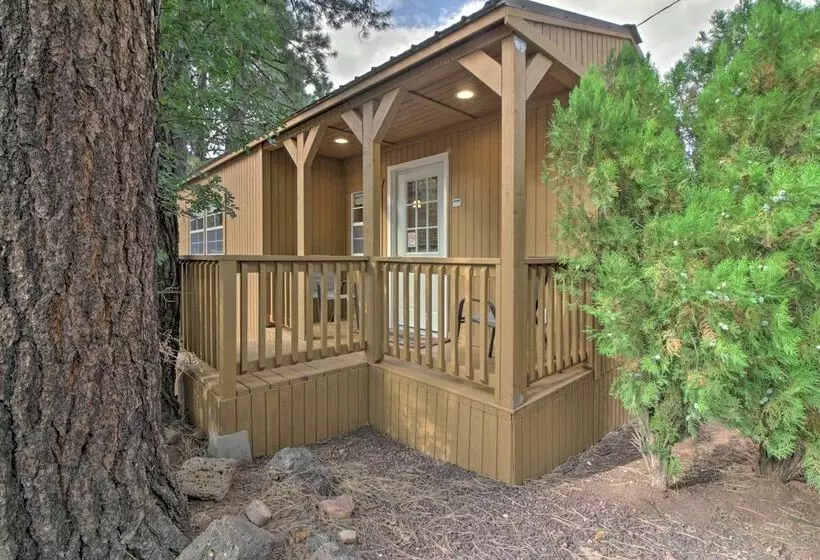Petfriendly Cabin, 3 Mi To Show Low Lake!