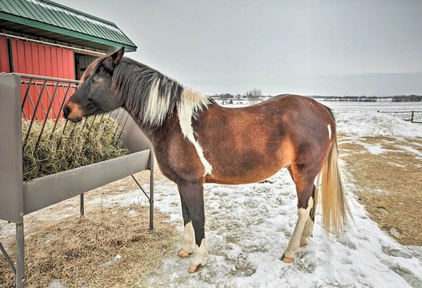 Updated Cabin On 7 Acres   Day Trip To Lake Geneva