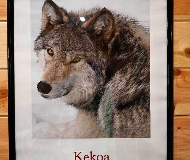 Cozy Broken Bow Cabin, Walk To The Lukfata Creek!