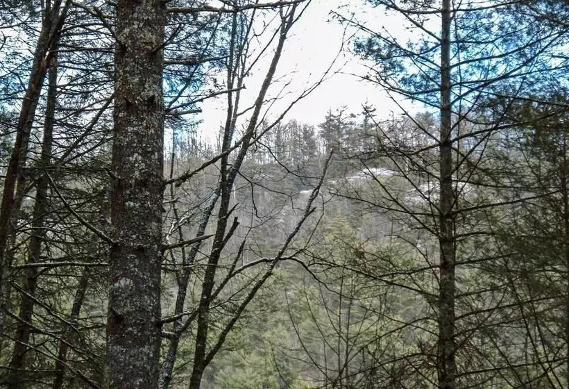 Highlands Cabin W/ Forest Views < 4 Mi To Cashiers