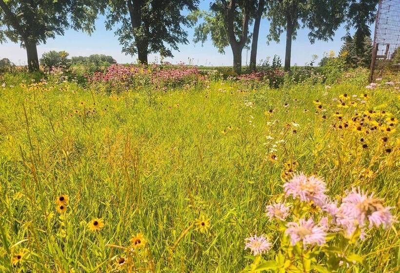 Spacious Farmhouse On 200 Acres Along The River