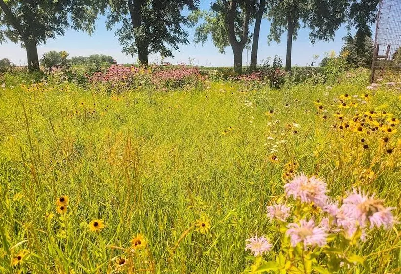 Spacious Farmhouse On 200 Acres Along The River