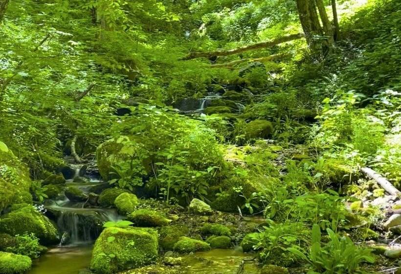 Peaceful North Carolina Retreat With Game Room!