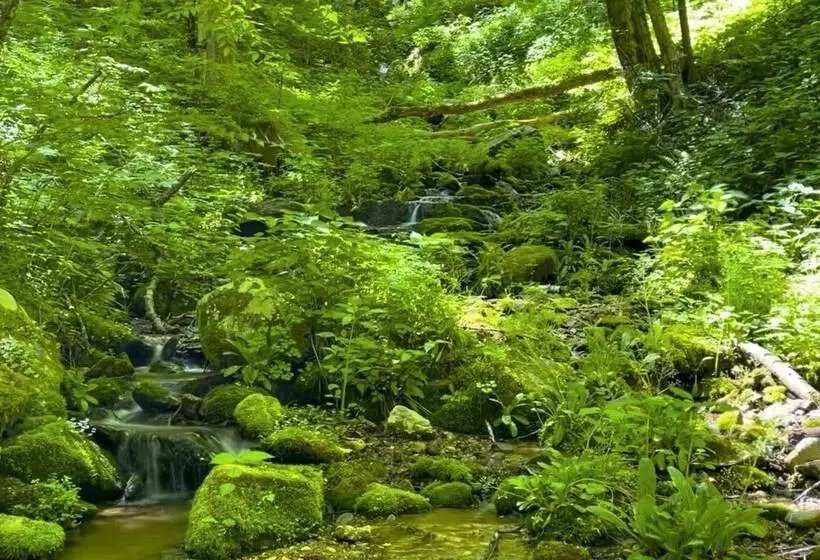 Peaceful North Carolina Retreat With Game Room!