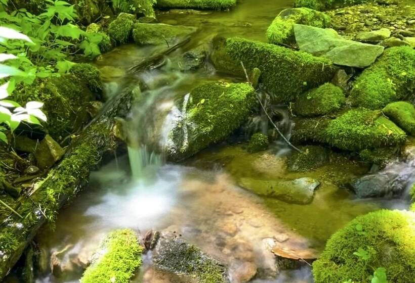 Peaceful North Carolina Retreat With Game Room!