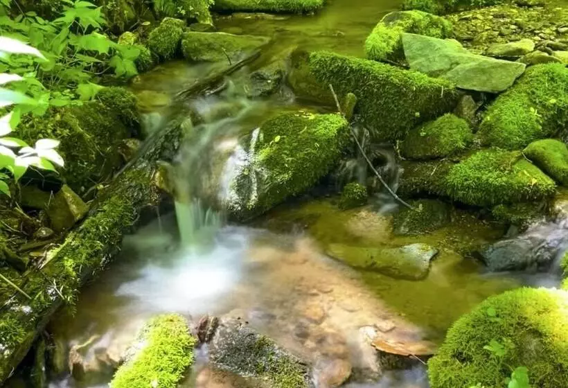 Peaceful North Carolina Retreat With Game Room!
