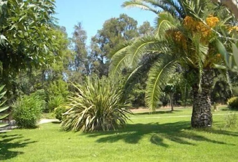 בית מלון כפרי Auberge Les Oliviers