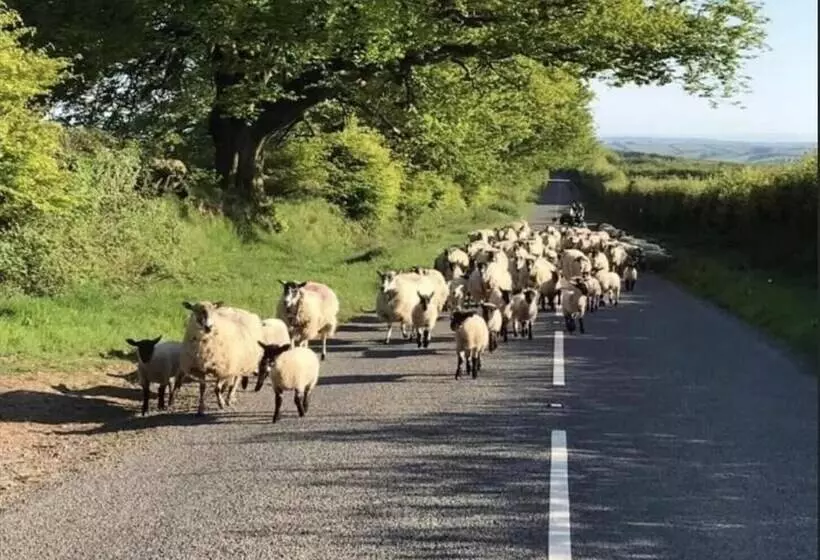 レジデンス Charming 3 Bed House On Exmoor